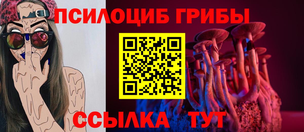 Кудрово  купить закладку  Псилоцибиновые грибы Magic Shrooms  Вход с VPN  Галлюциногенные грибы ЛСД 